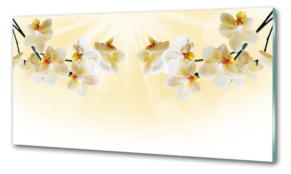 Konyhai hátfalpanel Orchidea