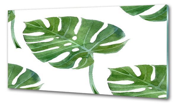 Konyhai hátfalpanel Monstera