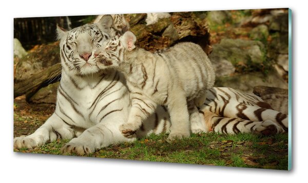 Konyhai fali panel Tigers