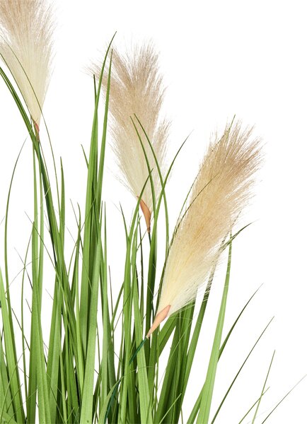 Műnövény PAMPAS GRASS 130 cm Zöld