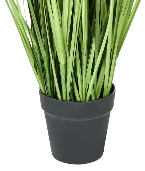 Műnövény PAMPAS GRASS 130 cm Zöld