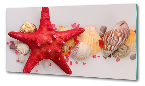 Konyhai fali panel Starfish és kagylók