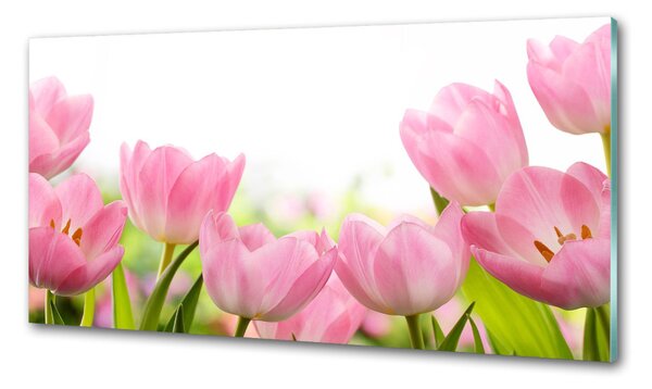 Konyhai hátfalpanel Rózsaszín tulipánok
