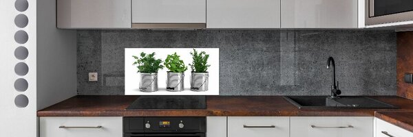 Konyhai dekorpanel Aromás növények