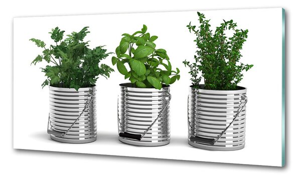 Konyhai dekorpanel Aromás növények