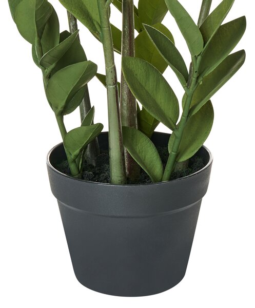 Műnövény ZAMIIFOLIA 76 cm Zöld