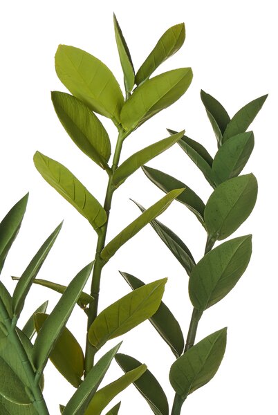 Műnövény ZAMIIFOLIA 76 cm Zöld