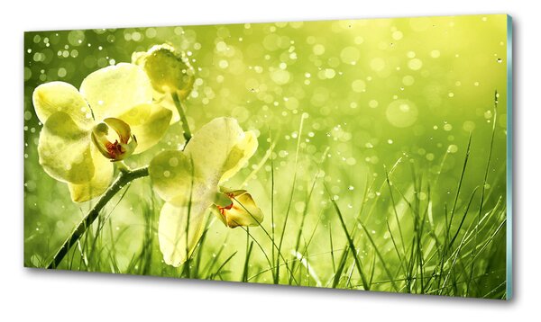 Konyhai hátfalpanel Orchidea