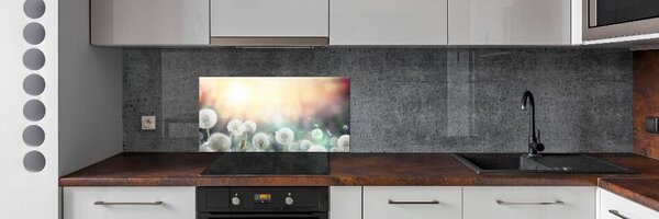 Konyhai hátfalpanel Területén pitypang