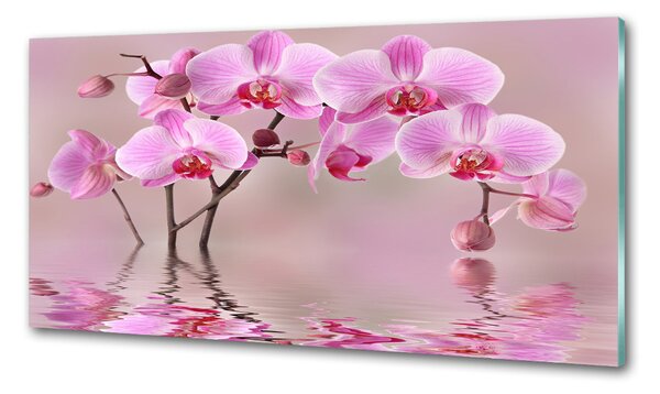 Konyhai hátfalpanel Rózsaszín orchidea