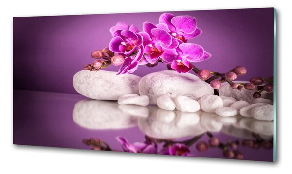Konyhai hátfalpanel Rózsaszín orchidea