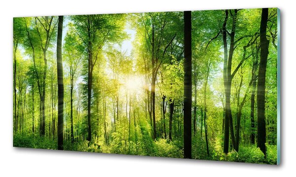 Konyhapanel Forest a nap
