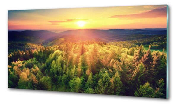 Konyhapanel Forest naplemente
