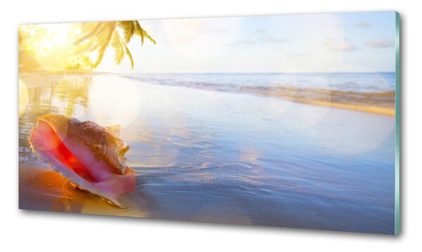 Konyhapanel Seashell a strandon