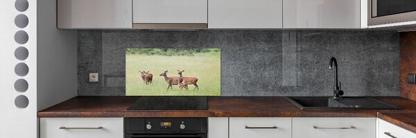 Konyhai fali panel Deer fiatal