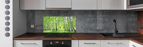Konyhai hátfalpanel Nyírfa erdő