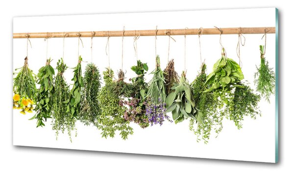 Konyhai dekorpanel Herbs egy húr