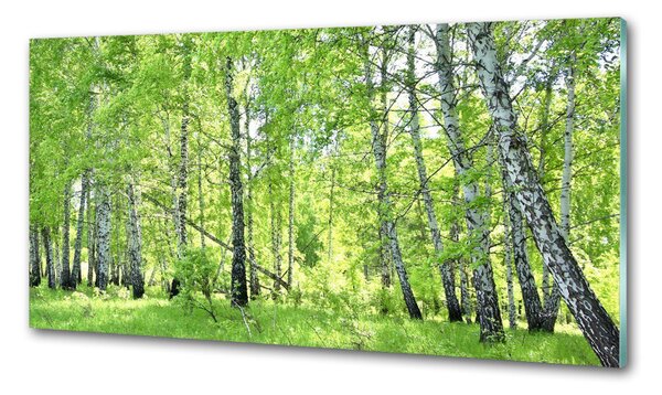 Konyhai hátfalpanel Nyírfa erdő