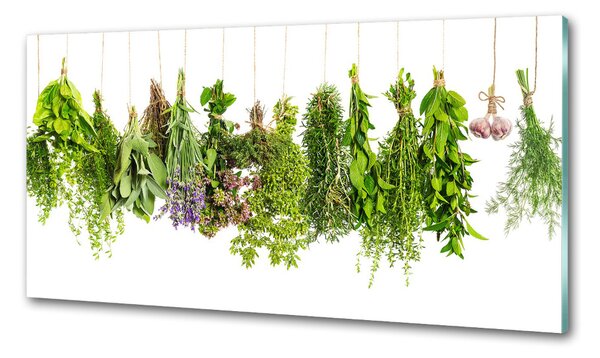 Konyhai dekorpanel Herbs egy húr