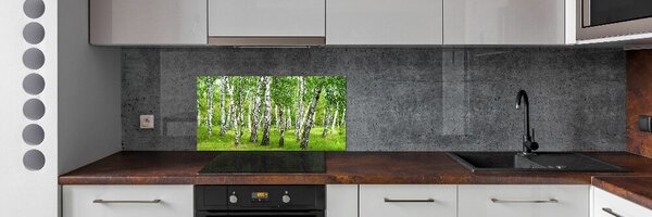 Konyhapanel Nyírfa erdő