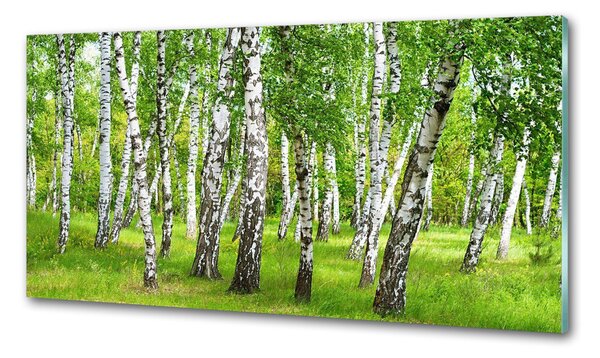 Konyhapanel Nyírfa erdő