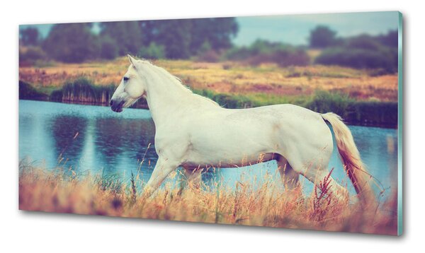 Konyhai fali panel White horse-tó