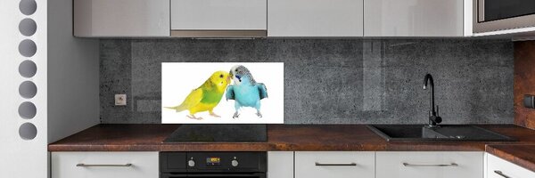 Konyhai fali panel Budgies