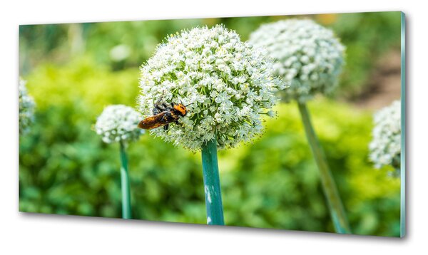 Konyhai hátfalpanel Flower fokhagyma