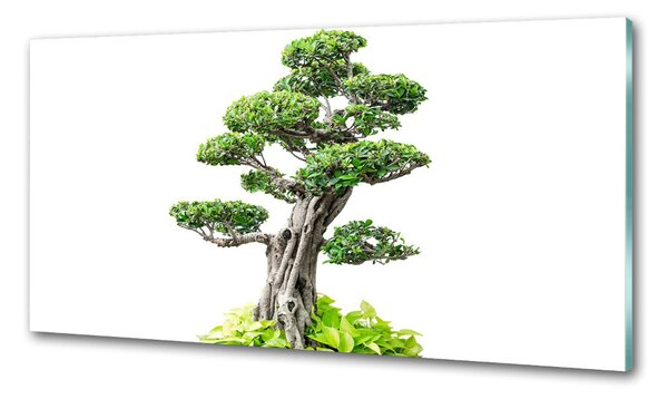 Konyhai hátfalpanel Bonsai fa