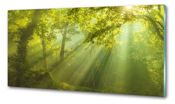 Konyhapanel Forest a nap