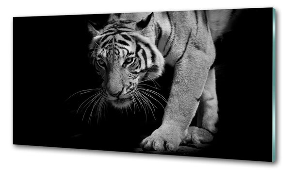 Konyhai fali panel Tigris