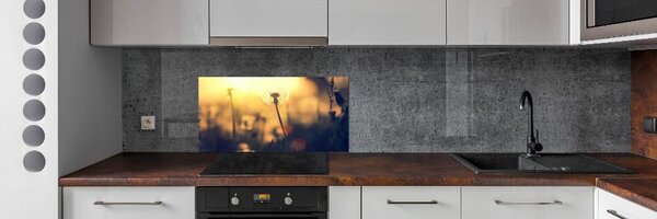 Konyhai hátfalpanel Pitypang