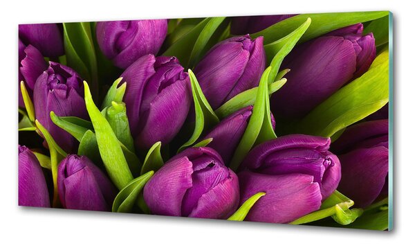 Konyhai hátfalpanel Lila tulipánok