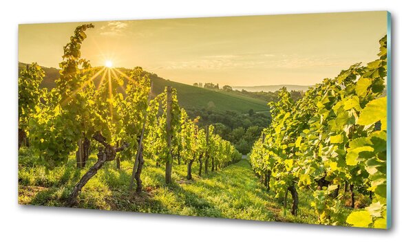 Konyhapanel Szőlőskert