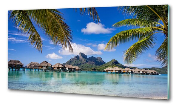 Konyhapanel Pálmafák bora bora