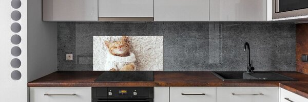 Konyhai fali panel Cica pulóver
