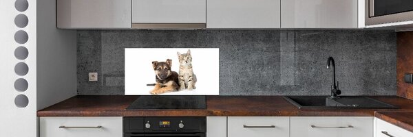 Konyhai fali panel Kutya és macska