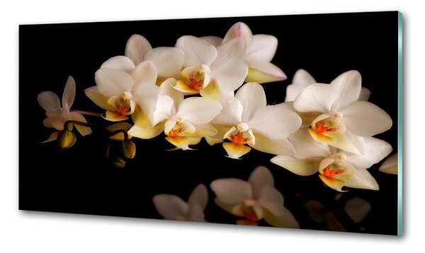 Konyhai hátfalpanel Orchidea