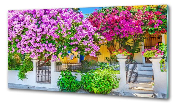 Konyhai hátfalpanel Ház bougainvillea