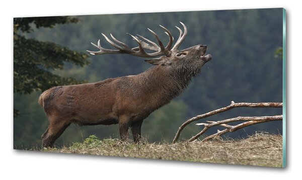 Konyhai fali panel Deer a hegyen