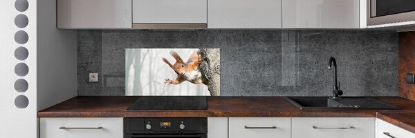 Konyhai fali panel Mókus