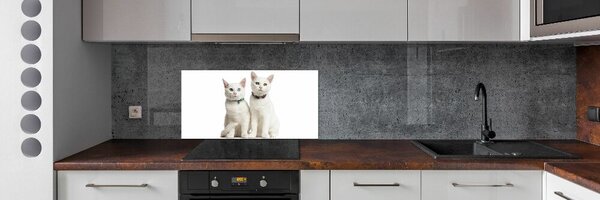 Konyhai fali panel Fehér macska