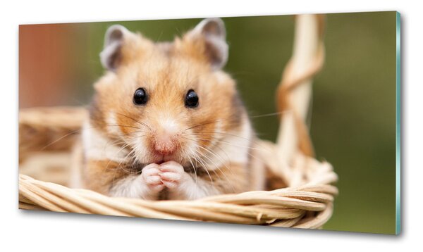 Konyhai fali panel Hamster a kosárban