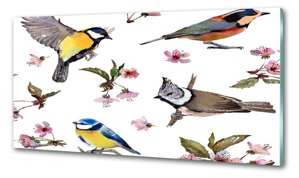Konyhai fali panel Bird cseresznye virágok