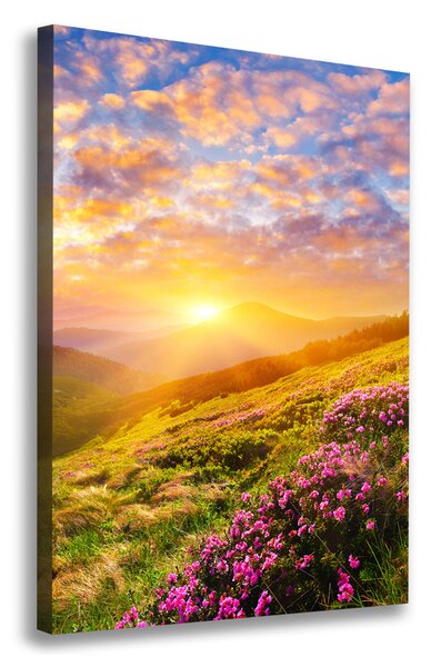 Feszített vászonkép Sunset hegy