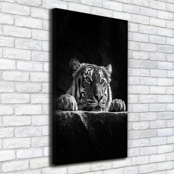 Vászonkép Tigris