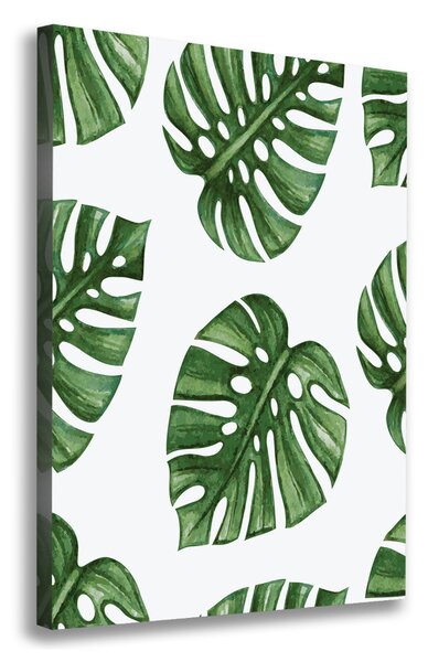 Egyedi vászonkép Monstera