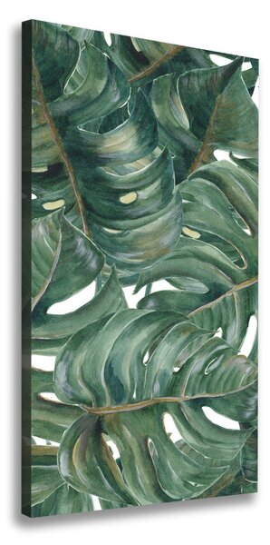 Egyedi vászonkép Monstera