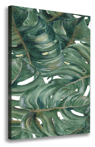 Egyedi vászonkép Monstera