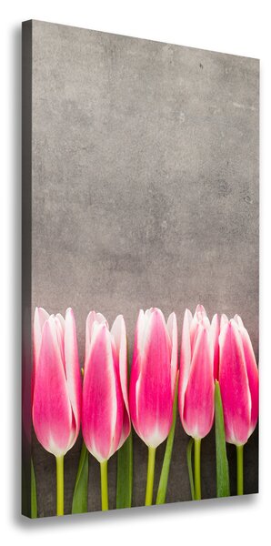 Vászonkép nyomtatás Rózsaszín tulipánok